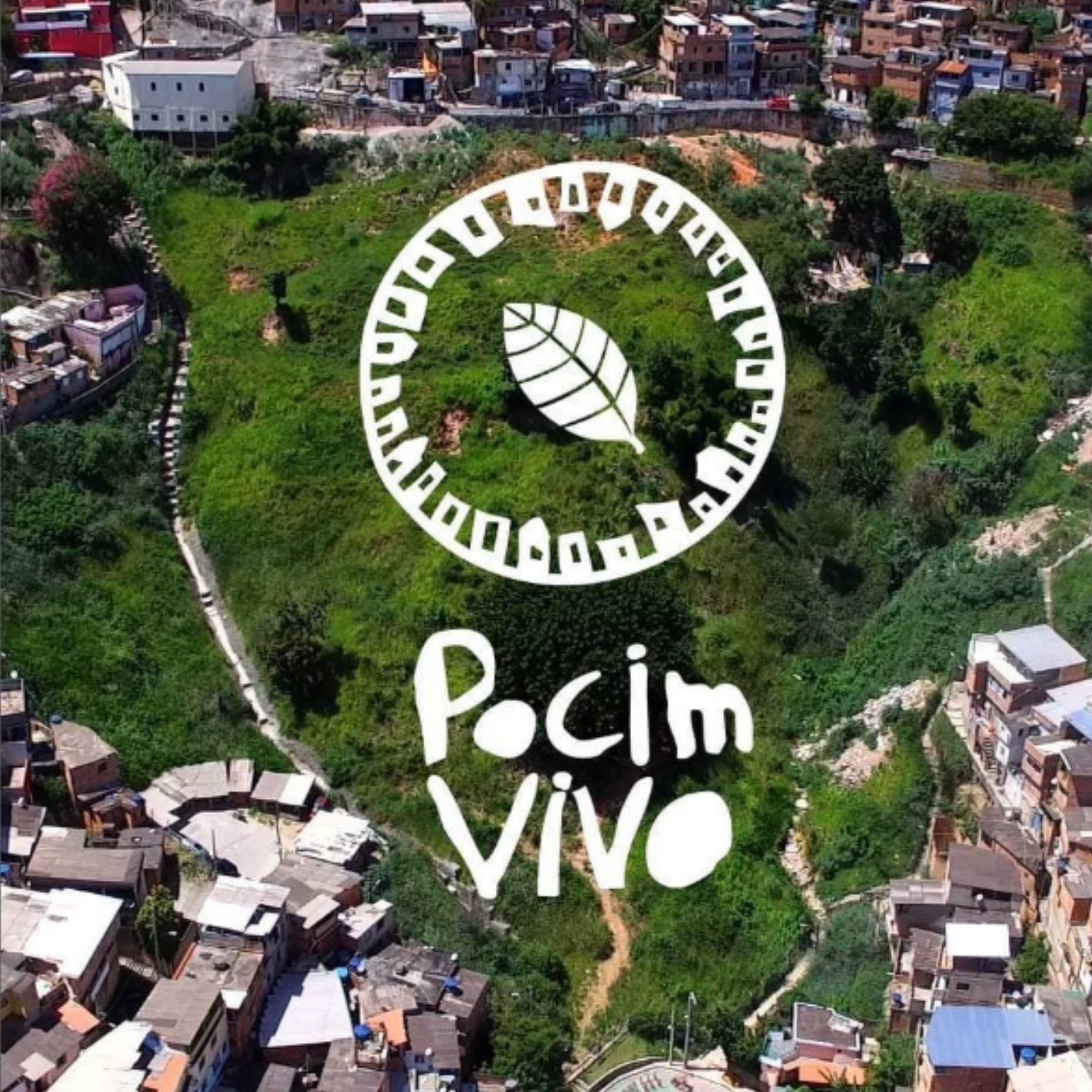 Pocinho