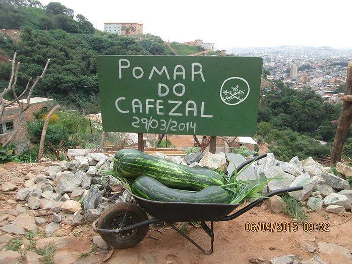 Pomar 2